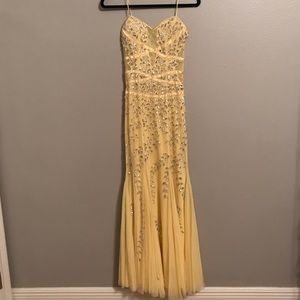 Cachè ball gown